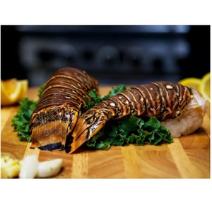 Langostas del Caribe Congeladas al por Mayor, Suministro de Mariscos Frescos para Hoteles, Restaurantes y Servicios de Catering - Product Image 5