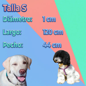 Ensemble Harnais et Laisse de Luxe pour Chien Taille XL – Confortable, Sûr, Anti-Évasion, Respirant, en Nylon et Acier Inoxydable, Style Solide et Motif Élégant - Product Image 1