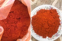 Échantillons gratuits/Meilleur prix poudre de piment séché riche saveur épicée épices et herbes simples de l'usine de source du Vietnam-ANNA DO