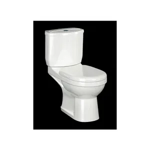 Profesional dalam menjual barang sanitasi warna putih bahan keramik dibuat dua bagian Toilet lemari air WC dari India