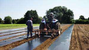 CENPLAS - Rollo de Película de Plástico Extruido de PE Personalizado para Cobertura Agrícola, Directo de Fábrica OEM en Vietnam - Product Image 5