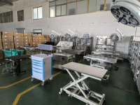 Stérilisateur autoclave à vide OSCAT vétérinaire 12L à trois étapes avec imprimante, entièrement automatique, affichage LED