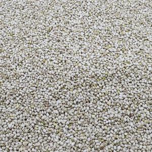 Noix de cajou de qualité supérieure personnalisées pour la crème glacée, noix de cajou à prix abordable provenant d'un fabricant indien - Product Image 6