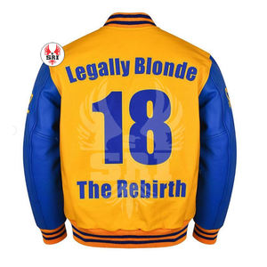 Wholesale High Quality Sigma Gamma Rho Varsity Jacket Chenille Embroidery Leather Sleeves Baseball Letterman Varsity Jacket - Product Image 4