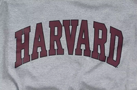 Sweat-shirt de l'université de Harvard sous licence officielle 100% coton bloc arqué col rond coupe ample longue longueur numérique pour l'hiver