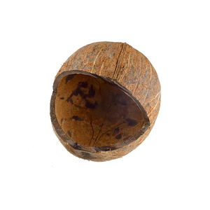 Comederos para pájaros de cáscara de coco Natural 100% de la mejor calidad, comederos para pájaros hechos a mano - Product Image 3