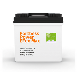 Batterie au phosphate de fer et de lithium Fortress Power EFlex Max 5.4 105Ah 51.2V 5.4kWh - Product Image 1