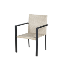 Chaise de jardin en rotin PE simple BeNK avec structure en acier, chaise minimaliste en osier pour patio extérieur, cour, parc, villa, hôtel