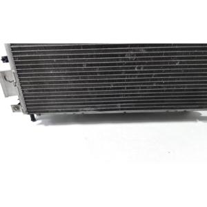 Kit Radiatore FIAT Panda 3a Serie 51939067 312B1000 Diesel 1300 (12>) - Product Image 6