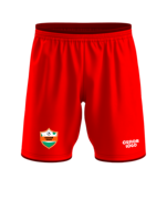 Shorts d'entraînement sportifs pour hommes grande taille avec logo personnalisé, motif uni, en maille polyester, taille mi-haute élastique, anti-plis, séchage rapide