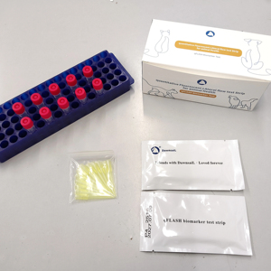 Test quantitatif de NT-pro BNP canin pour la détection de l'insuffisance cardiaque chez les animaux de compagnie – Fournisseur médical pour cliniques vétérinaires - Product Image 1