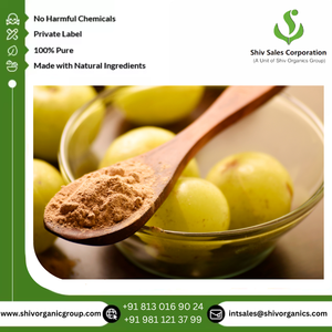 100% pur et naturel qualité supérieure Amla extrait de plantes poudre prix de vente faible approvisionnement en vrac du fournisseur - Product Image 4