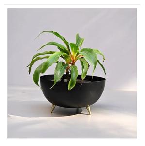 Jardinière fantaisie en métal en laiton AK Pots de luxe faits à la main pour jardin intérieur et extérieur ainsi que pour la décoration intérieure - Product Image 4