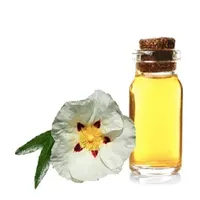 100% Huile essentielle naturelle, pure et non diluée de Labdanum pour l'aromathérapie, la parfumerie et les soins de la peau | Disponible en gros paquet en vrac