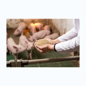 chicken feed premix animal feed additives