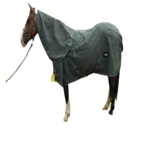 Alfombras de caballo de algodón premium de la mejor calidad para la máxima comodidad y protección Exclusivo al por mayor Rates2025 - Product Image 1
