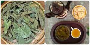 ใบฝรั่งอบแห้งคุณภาพเยี่ยม สดใหม่ไร้ที่ติ - Product Image 3