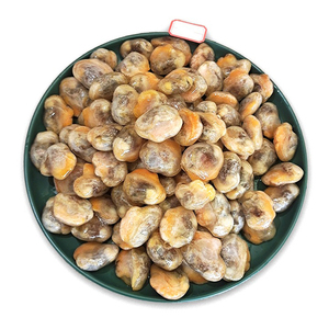 Operculos de conchas marinas para incienso, proveedor mayorista, exportación directa de fábrica, OEM - Product Image 4