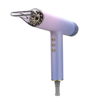 Sèche-cheveux multifonction haute vitesse pour salon, fonction ionique, diffuseur, contrôle de la température, moteur BLDC, 2000-2400W, électrique domestique