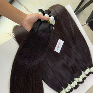 Extensiones de cabello a granel Producto más vendido 2025 Negro 1H natural liso 100% Cabello vietnamita Doble dibujado - Product Image 1