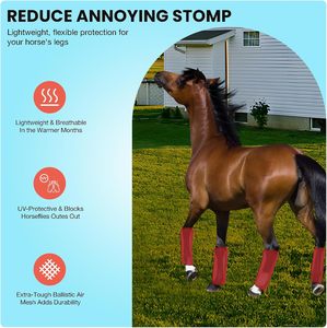 Bottes anti-mouches pour chevaux Lot de <span class=keywords><strong>2</strong></span> bottes équestres respirantes en plastique PVC Protecteur de jambes de cheval - Product Image 5