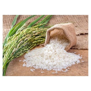 Riz blanc à grain long 25% qualité d'exportation supérieure cassée approvisionnement constant pour les importateurs internationaux - Product Image 6