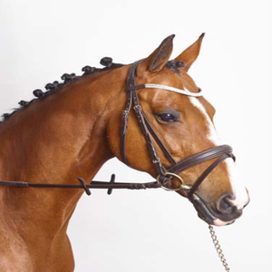 Brida de cuero Snaffle de doma del fabricante Diseño anatómico Brida de caballo occidental - Product Image 6