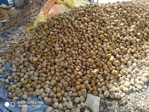 Piedras Decorativas Redondas de Arenisca, Adoquines de Madera de Teca para Jardinería, Paisajismo, Decoración de Exteriores, Elementos Ornamentales Económicos - Product Image 5