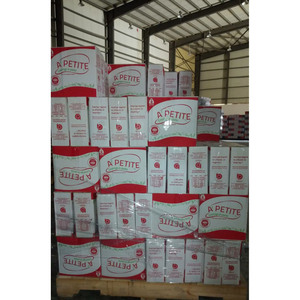 พาสต้าสปาเก็ตตี้เอ'เพทิต พรีเมียม 350 กรัม ทำจากข้าวสาลีแข็ง คุณภาพสูง อายุการเก็บรักษายาวนาน ได้รับการรับรองฮาลาล มาตรฐาน ISO 9001 บรรจุกล่อง/ถุงจากอียิปต์ - Product Image 5