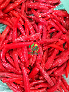 Chất lượng cao iqf Ớt đông lạnh giá rẻ làm Việt Nam Thien Phu-Việt Nam số lượng lớn xúc xắc cắt hình bầu dục bán chạy nhất trong <span class=keywords><strong>2025</strong></span> - Product Image 2