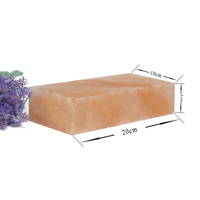 Briques de sel rose de l'Himalaya pour salles de sauna au sel et panneau mural de spa 20*10*2 cm briques de carreaux de sel de l'Himalaya