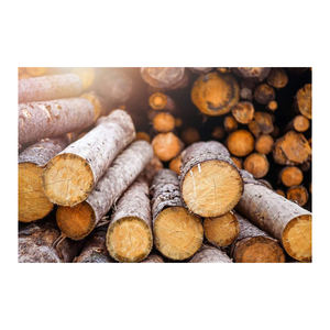 La madera a granel disponible al por mayor ofrece un stock de calidad fuerte servicio de envío rápido - Product Image 1