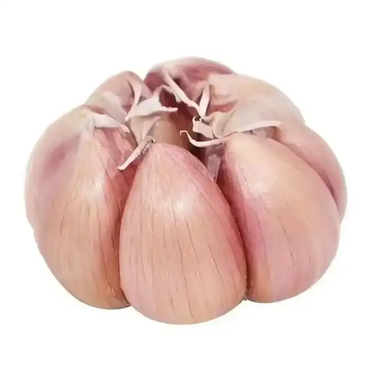 Reiner weißer frischer Knoblauch Knoblauch