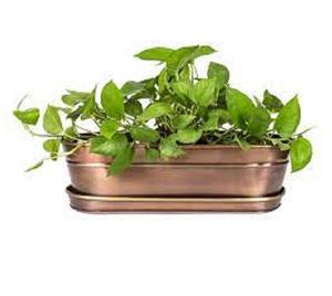 Maceta de alta calidad para decoración de jardín y hogar, macetas de diseño de lujo, macetas de Metal y maceta decorativa hecha a mano - Product Image 1