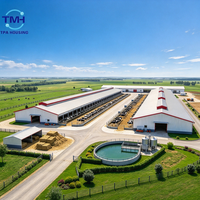 Abri pour bétail en structure métallique, hangar préfabriqué pour bovins, étable pour vaches, bâtiment en structure métallique pour élevage de bétail