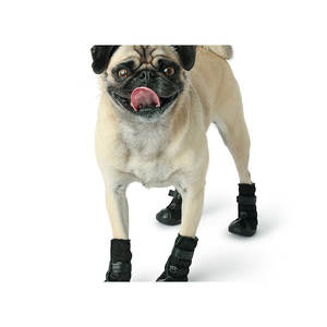 Botas para Perro Elasto-Fit con Diseño Sólido en Negro, Estilos Clásico y Moderno, Zapatos para Mascotas para Verano e Invierno - Product Image 2