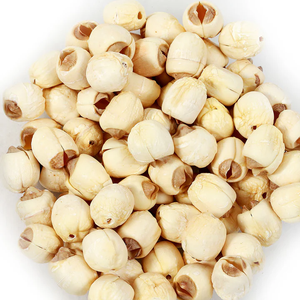 Graines de lotus blanc de meilleure qualité séchées avec soin, idéales pour les marques d'aliments et les fournisseurs d'ingrédients haut de gamme - Product Image 5