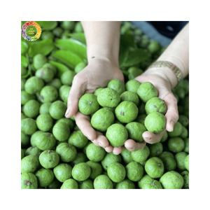 Dracontomelon Congelado IQF, Fruta Verde Ácida de Alta Calidad, Origen Vietnam, para Exportación al por Mayor, Ingredientes Frescos Naturales - Product Image 4