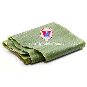 เวียดนามส่งออกใบกล้วยแช่แข็ง 100% ธรรมชาติ เป็นมิตรกับสิ่งแวดล้อม คุณภาพสูง ราคาแข่งขันได้ - Product Image 1