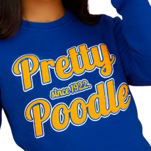 Joli caniche bleu Chenille sweat doux coton Premium col rond broderie Sigma Gamma Rho grec sororité femmes Style - Product Image 3