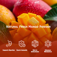 Meilleur Prix Instantané Saveur Mangue Jus De Fruit En Poudre Smoothie Boisson Aigre Boisson En Vrac En Gros ODM OEM Vietnam Fabricant