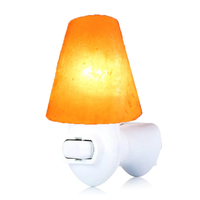 Élégante lampe de nuit enfichable au sel de l'Himalaya, applique murale en cristal de roche fabriquée à la main pour la décoration intérieure