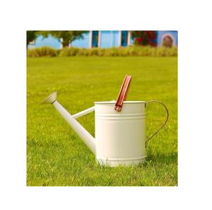 Proveedores al por mayor de diseño ovalado hecho a mano regadera Metal jardín decoración plantas regadera maceta al mejor precio - Product Image 3