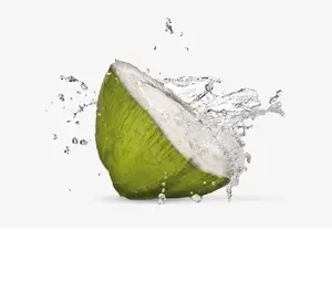 프리미엄 품질 신선한 코코넛 물 신선한 과일 녹색과 음료와 수프를 만들기위한 다크 브라운 코코넛 물