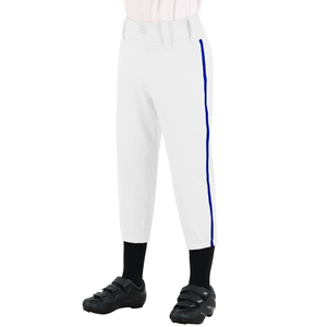 Pantalons de baseball pour hommes de haute qualité en gros, prix de gros bon marché, impression de logo personnalisé, pantalon de baseball pour hommes - Product Image 4