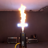 Machine à flammes hexagonale pour scène, jet de feu de 2 à 3 m de haut, télécommande DMX, projecteur de flammes au propane pour concerts, clubs, mariages, événements, spectacles