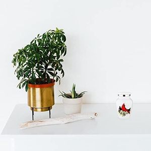 Petites urnes souvenir d'oiseau cardinal | pour les cendres humaines | Fabriquées à la main | Mini urne ensemble de 4 avec boîte de qualité supérieure et entonnoir - Product Image 5