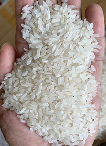 2025 Cultivo de verano Arroz blanco de grano largo y arroz Japonica de Vietnam Nueva cosecha - Product Image 6