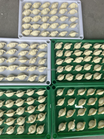Machine Automatique Tout-en-Un pour la Fabrication d'Enveloppes à Empanadas, Samosas et Raviolis Ronds