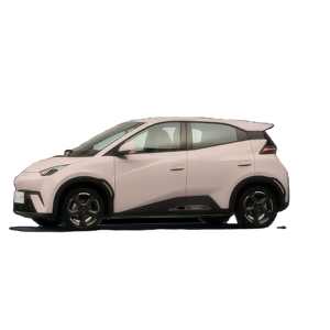 Vehículo Eléctrico Hatchback 2024 con Tracción Delantera, Techo Panorámico, Neumáticos R15, Vehículo de Nueva Energía de Alto Valor en Venta - Product Image 3